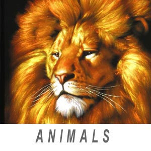 Animals