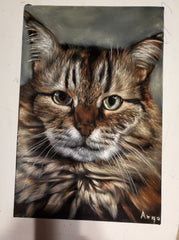 COMMISSIONED Cat portraits email coledane@gmail.com
