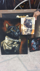 COMMISSIONED Cat portraits email coledane@gmail.com