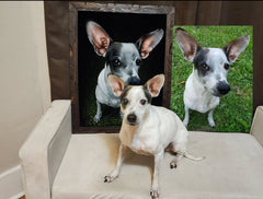 COMMISSIONED dog portraits: email coledane@gmail.com