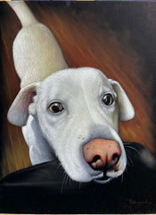 COMMISSIONED:  Dog portrait by Zenon Mattias