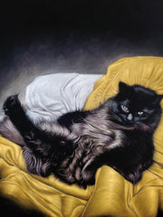 COMMISSIONED Cat portrait... email coledane@gmail.com for you own!