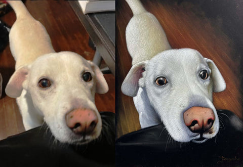 COMMISSIONED:  Dog portrait by Zenon Mattias