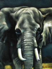 Elephant,  Original Oil Painting on Black Velvet by Alfredo Rodriguez "ARGO"  - #A118