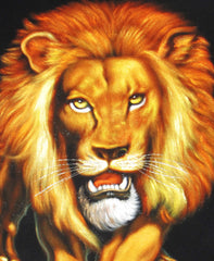 Lion,  Original Oil Painting on Black Velvet by Alfredo Rodriguez "ARGO"  - #A130