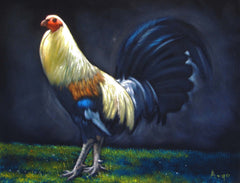 Rooster, cockerel, cock, gallo, Original Oil Painting on Black Velvet by Alfredo Rodriguez "ARGO" - #A147