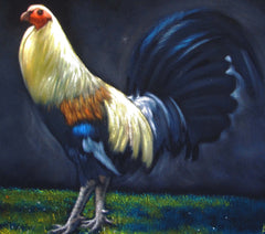 Rooster, cockerel, cock, gallo, Original Oil Painting on Black Velvet by Alfredo Rodriguez "ARGO" - #A147