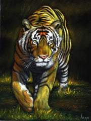 Bengal Tiger,  Original Oil Painting on Black Velvet by Alfredo Rodriguez "ARGO"  - #A170