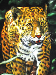 Leopard, Panther, cougar, puma,  Original Oil Painting on Black Velvet by Alfredo Rodriguez "ARGO"  - #A41