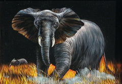 Elephant,  African Elephant, Original Oil Painting on Black Velvet by Enrique Felix , "Felix" - #F108