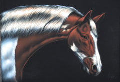 Horse, Stallion horse portrait, Original Oil Painting on Black Velvet by Enrique Felix , "Felix" - #F19