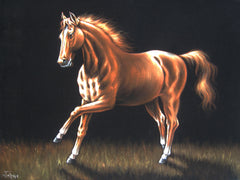 Horse running in grass ; Original Oil Painting on Black Velvet ;   by Jorge Terrones -(size 18"x24")-p2 J021
