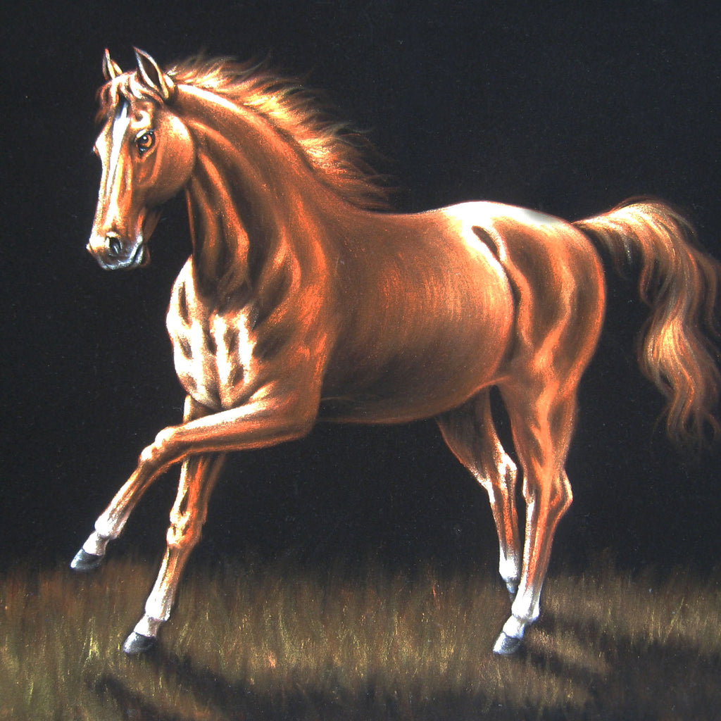 Horse running in grass ; Original Oil Painting on Black Velvet ;   by Jorge Terrones -(size 18"x24")-p2 J021
