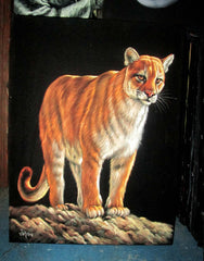 Mountain Lion, Leopard, Panther, Jaguar; Wild Cat; Original Oil Painting on Black Velvet ;   by Jorge Terrones -(size 18"x24")-p2 J086