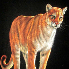 Mountain Lion, Leopard, Panther, Jaguar; Wild Cat; Original Oil Painting on Black Velvet ;   by Jorge Terrones -(size 18"x24")-p2 J086