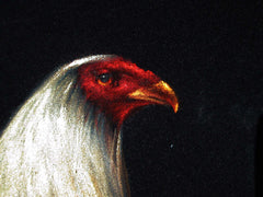 Rooster, White and Blue Mexican Cock,  Original Oil Painting on Black Velvet by Enrique Felix , "Felix" - #F158