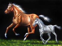 Mare and Colt or filly in grass; Original Oil Painting on Black Velvet ;  by Jorge Terrones -(size 18"x24")-p1 J164